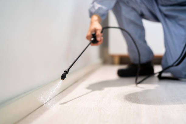 Certified termite inspector examining foundation in New Oxford