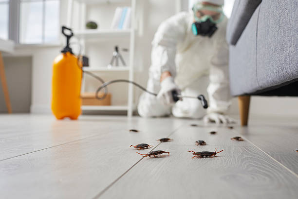 Commercial Kitchen Cockroach Control in New Oxford